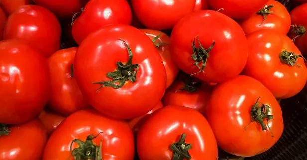 Kasımda domates coştu