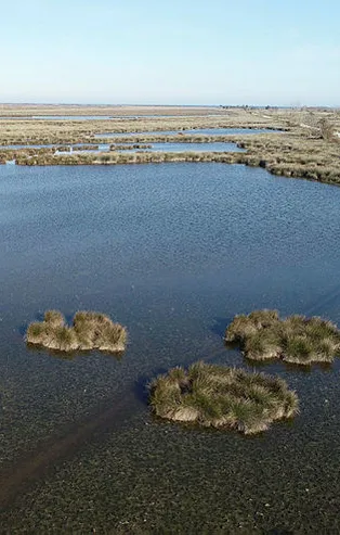 Karadeniz'de büyük tehlike! 'Geri dönüşsüz bir noktaya gidebiliriz'