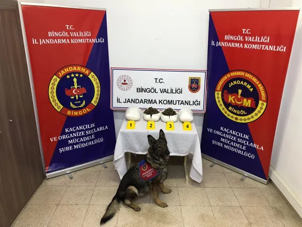 imla-ve-ezber-isimli-kopekler-22-milyon-tllik-uyusturucu-yakaladi-1623752296806.jpg