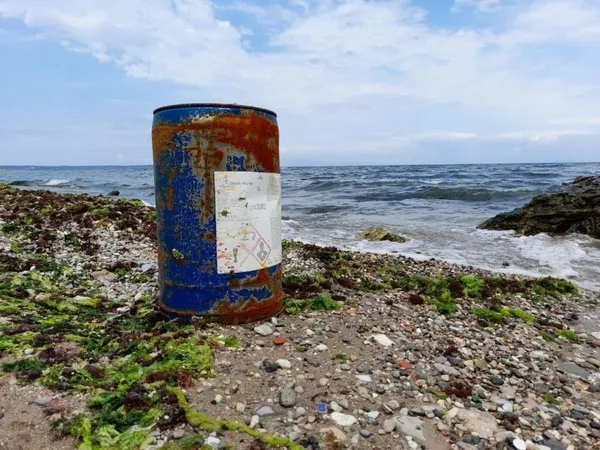 sinopta-panik-uzerinde-tehlikeli-yazan-variller-kiyiya-vurdu-1624703859161.jpg Sinop'ta panik! Üzerinde 'tehlikeli' yazan variller kıyıya vurdu-5