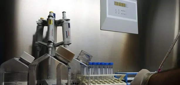 Kök hücreye tükürük testi