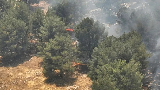 adiyamanda-orman-yangini-1-hektarlik-alanin-zarar-gordu-1691236047577.jpeg Adıyaman'da orman yangını! Ekipler seferber oldu: 1 hektarlık alan zarar gördü-3