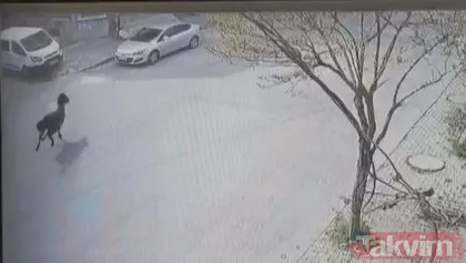 İstanbul Arnavutköy’de inanılmaz olay! Otomobilin sahibi güvenlik kamerasını izleyince gözlerine inanamadı