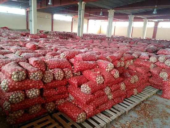 Ankara'da depoda stoklanmış 1300 ton kuru soğan çıktı-1