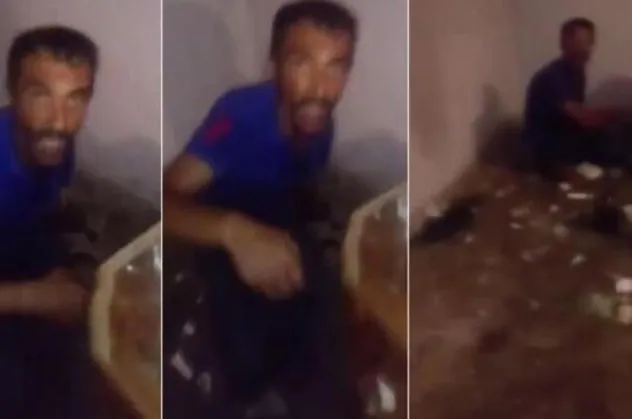 Son dakika: Adana'da kedilere işkence iddiası sosyal medyayı ayağa kaldırdı