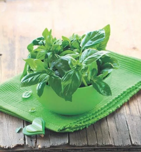 bobreklerin-isi-yas-1640458512047.jpeg Nefroloji Uzmanı Doktor Pınar Ergin uyarıyor! İlerleyen yaş böbrek hastalıklarına davetiye çıkarıyor-5