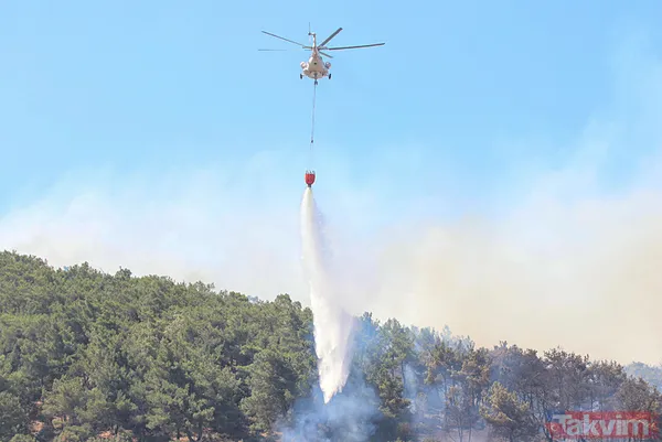İzmir Bornova'da orman yangını: O yol kapatıldı - 4