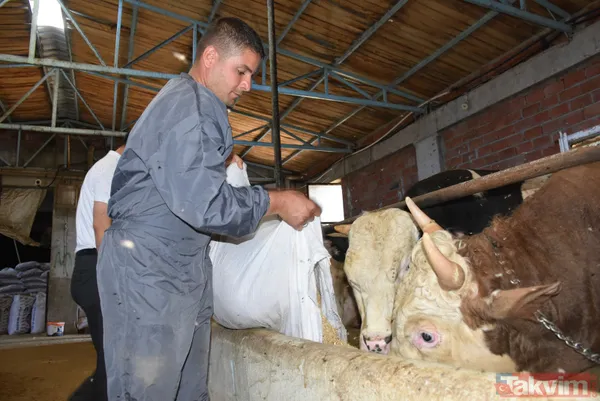 Devlet teşvikiyle 20 büyükbaş alarak çiftlik kurdu üretimi 2 yılda 10 katına çıkardı - 16