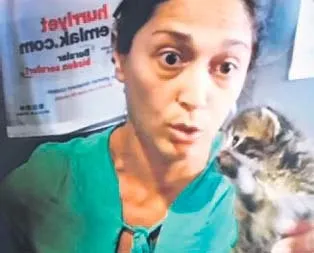 Feribotta yavru kedi kavgası