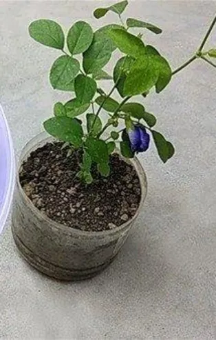 Bu bilgiler hayatınızı kolaylaştıracak