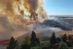Mardin Suriye sınırında hareketli dakikalar yaşandı! Mayınlı bölgede çıkan yangın 30 dönüm buğday ekili alanı yaktı