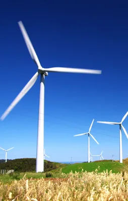 Rüzgar enerjisi dünyada hızla yayılıyor