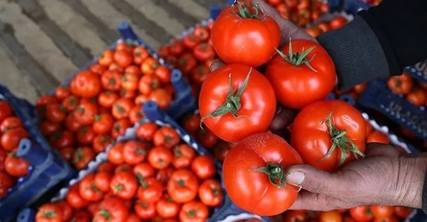 Rusya, Türkiye'den domates ithalat izinini genişletebilir