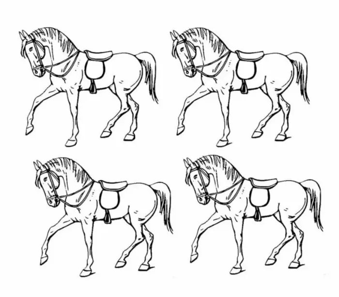4-at-icinde-farkli-ati-bulduysan-hafizan-zirvelerde-cikiyor-1713274366660.jpg Beyninizi test edin: 4 at içinde farklı atı bulduysan hafızan zirvelerde çıkıyor-2