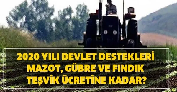 Milyonlar Bekliyordu 2020 Yili Devlet Destekleri Hibe Mazot Gubre Findik Tesvik Ucreti Kac Tl Iste Devletten Tesvik Alma Sartlari Takvim