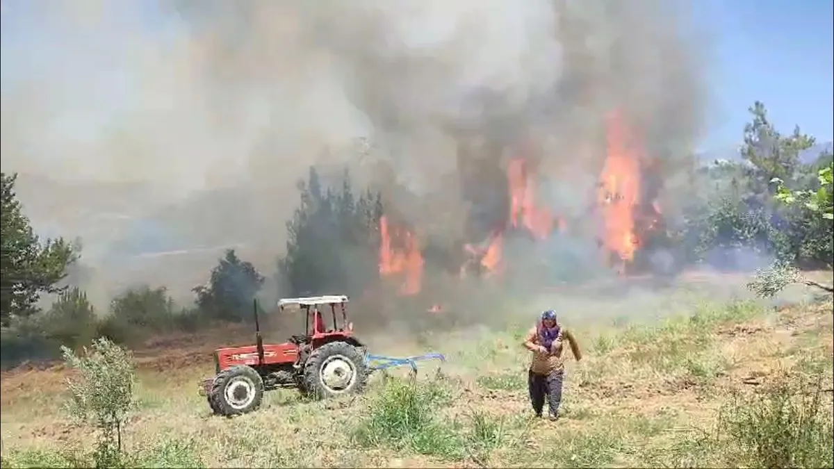Adana Kozan'da anız yangını! Zeytin bahçesi ve ormanlık alana sıçradı ekipler kontrol altına aldı