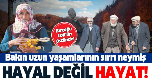 Ordu'nun Gölköy ilçesinde 100 yaşını deviren birçok kişi yaşıyor! İşte uzun yaşamlarının sırrı...