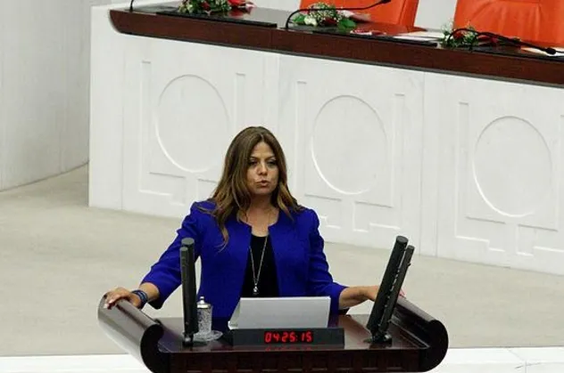 CHP eski İzmir Milletvekili Zeynep Altıok'a "Cumhurbaşkanına hakaret" suçundan 11 ay 20 gün hapis cezası