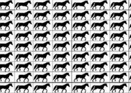 Resimdeki 3 ayaklı 9 atı yalnızca yüksek IQsu olanlar 18 saniyede buluyor