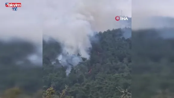 Milas’ta orman yangını!