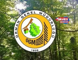 İŞKUR BAŞVURU EKRANI: Orman Genel Müdürlüğü işçi alımı başvuru şartları neler? OGM 5 bin işçi alımı başvuruları başladı mı, nasıl başvuru yapılır?