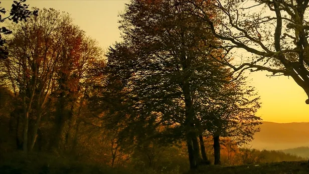 ogm-mulakat-sonuclari-haziran-2022-orman-genel-mudurlugu-ogm-1500-isci-alimi-basvuru-sonuclari-isim-listesi-og-1654786121420.jpg Orman Genel Müdürlüğü OGM 1.500 işçi alımı başvuru sonuçları - isim listesi: ogm.gov.tr ÖĞREN! OGM mülakat sonuçları...-3