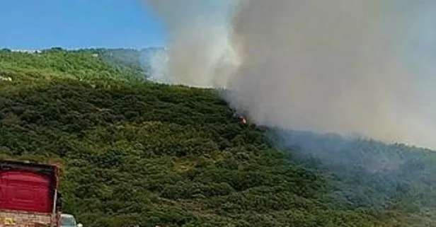 Tekirdağ’da yangın! 5 hektar makilik zarar gördü