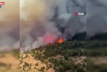 Doğanhisar ormanı alev alev!
