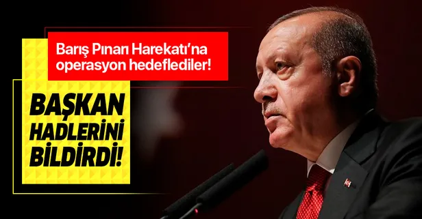 Başkan Erdoğan, terör sevici ülkelere hadlerini bildirdi!