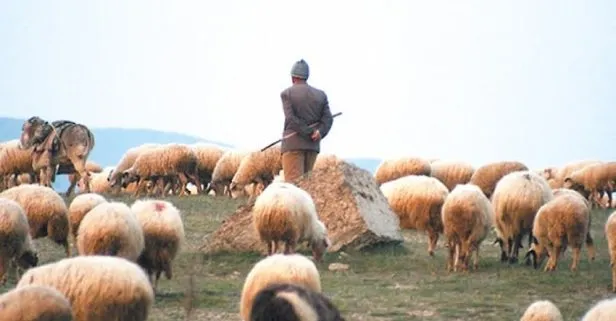 Antalya’da kayalıklardan uçuruma düşen çoban kurtarıldı