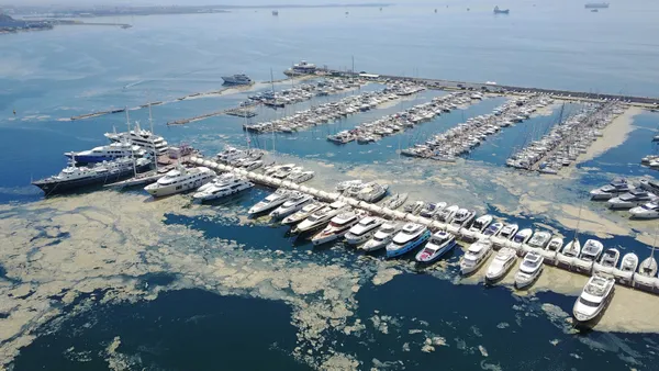 son-dakika-pendik-marinada-deniz-salyasi-nedeniyle-suyun-yuzeyi-gorunmuyor-1620394604437.jpg SON DAKİKA: Pendik Marina'da deniz salyası nedeniyle suyun yüzeyi görünmüyor-4