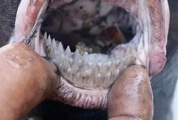 O ilde kırmızı alarm!