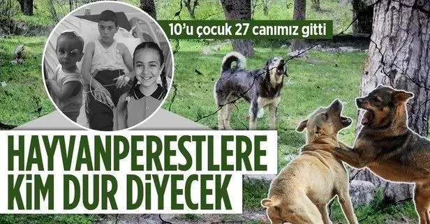 Başkan Erdoğan'dan başıboş sokak sorunuyla ilgili flaş mesaj: Mutlaka çözüme kavuşturacağız-7