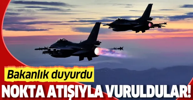 Son dakika: MSB: 5 PKK’lı terörist nokta atışıyla etkisiz hale getirildi