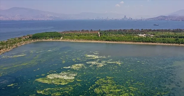 CHP'li Cemil Tugay'ın İzmir Körfezi'ndeki kirlilikle mücadele konusundaki çelişkili İfadeleri tepki çekti!