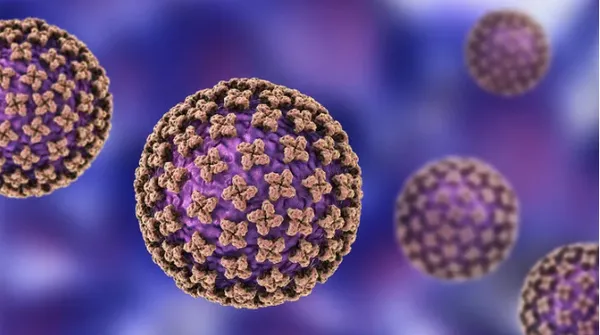 Koronavirüsün ardından yeni bir ölümcül virüs daha ortaya çıktı! Bunyavirüs nedir? Bunyavirüsün belirtileri nelerdir?-6