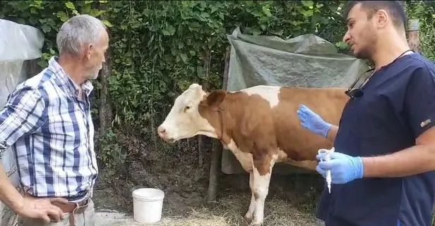 Zonguldak'ta 120 köy karantina ve gözetim altına alındı!