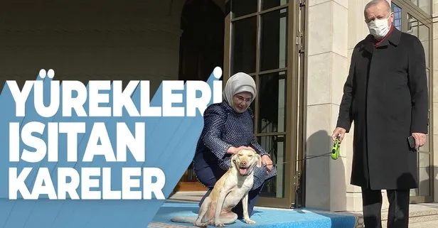 SON DAKİKA: Emine Erdoğan’dan samimi paylaşım: Cumhurbaşkanımızı Leblebi ile birlikte uğurladık