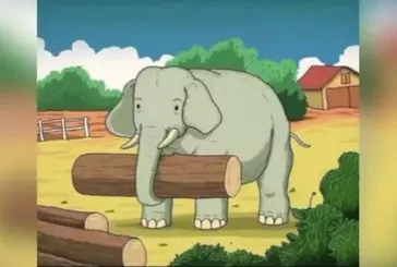 Zeka testi: Yalnızca zeki olanlar gizli atı 6 saniyede bulabilir