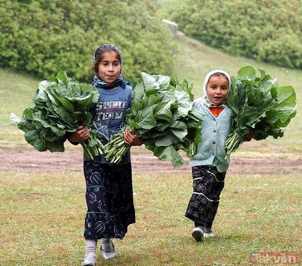 Dünyanın en kötü yemekleri listesinde Türkiye'den sürpriz bir aday! - 1