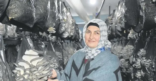 Hibe destek tesis sahibi yaptı