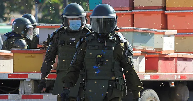 Arıcıların protestosuna müdahale eden polisleri arı soktu