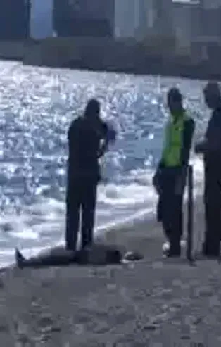 Antalya'da denizde kadın cesedi bulundu