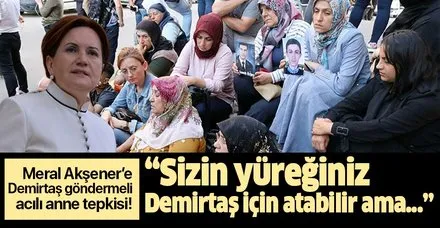 Akşener'e Demirtaş göndermeli acılı anne tepkisi: "Sizin yüreğiniz Selahattin Demirtaş için atabilir ama..."