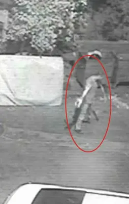 Beyoğlu'nda vahşet! Kediye işkence yapıp öldürdü