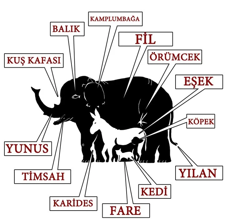 zeka-testi-resimde-kac-hayvan-var-268-kisiden-sadece-5i-basariya-ulasti-1720001515319.jpg