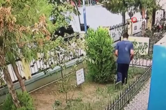 İzmir'de vahşet! Yavru kediyi tekmeleyerek öldürdü