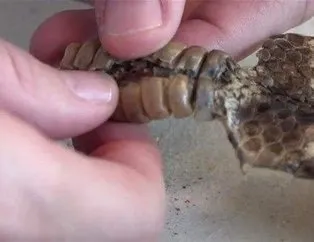 yasam galerileri yasam resim ve guncel fotograflari takvim