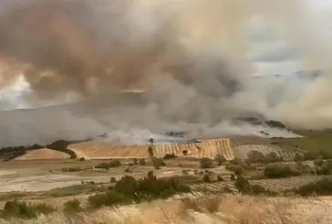 Bursa Yenişehir’de orman yangını!