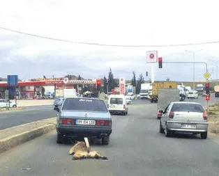 Bulun şu vicdansızı!